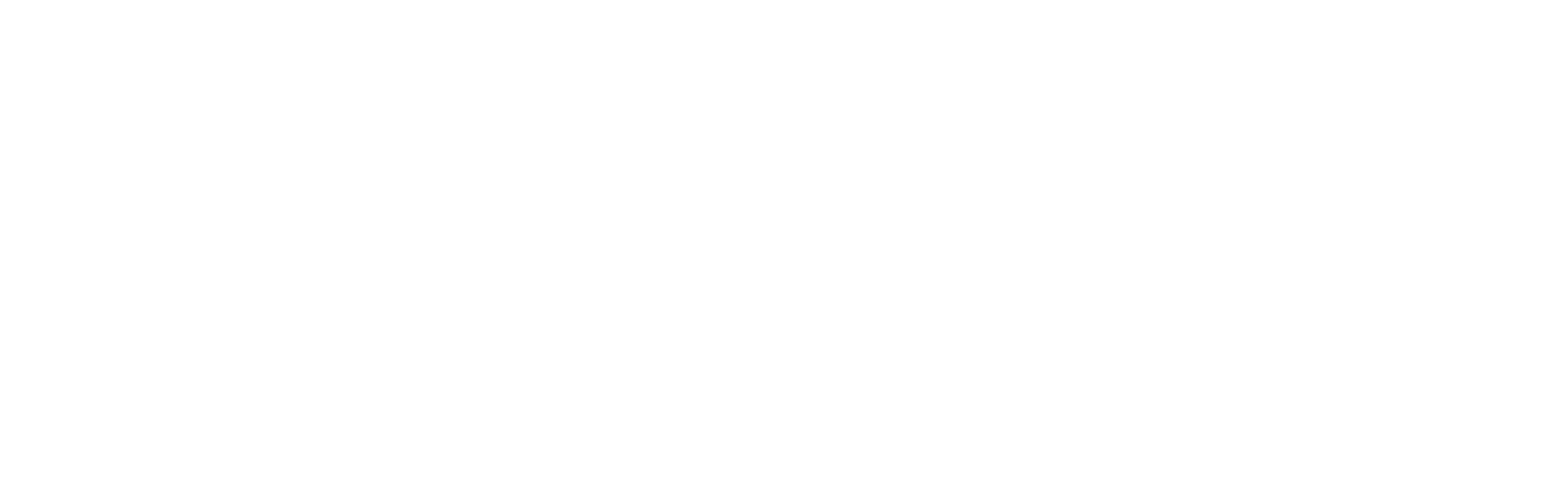 DJ PAYJAY Logo
